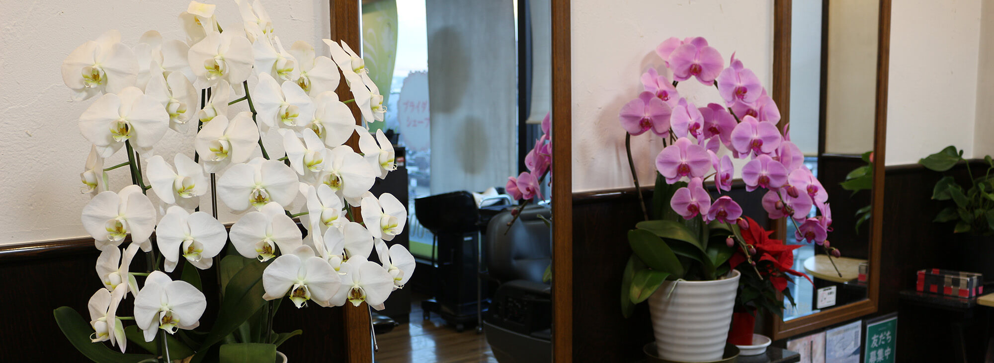 3F施術場の蘭の花と鏡